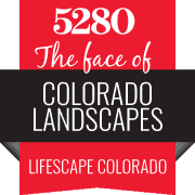 FacesBadges_Lifescape