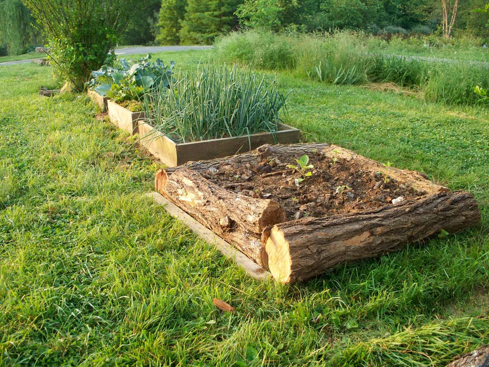 20+ Best DIY Raised Bed Garden Ideas - A Piece Of Rainbow