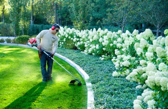 High Quality Maintenance Protects your Landscape Investment