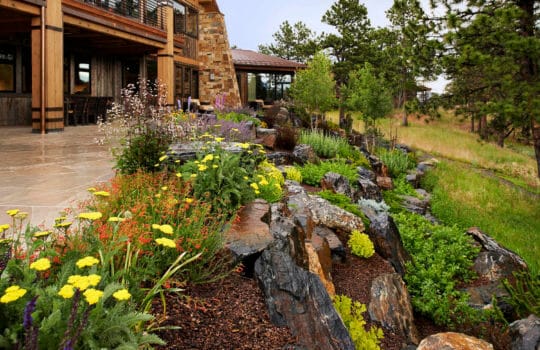Keep your Colorado Landscape rich and colorful with perennial gardens