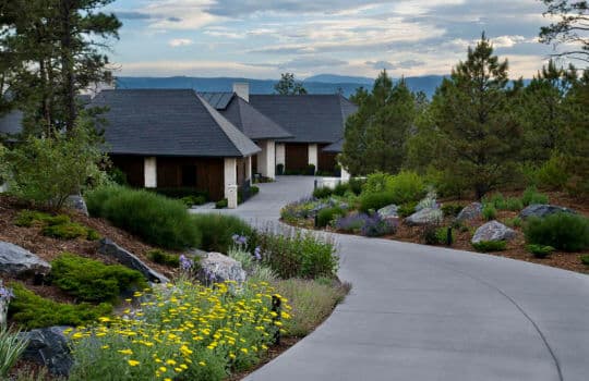 Healthy trees can mean a healthy increase in property value.