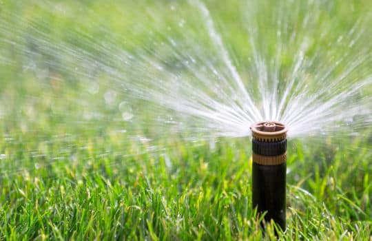 July is Irrigation Association Smart Irrigation Month.