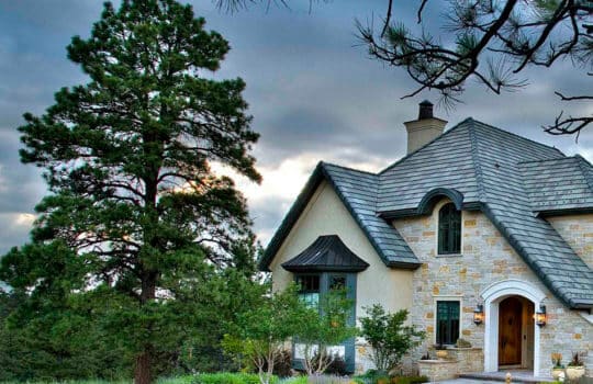 Are your trees cared for by certified experts?