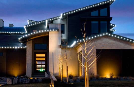 From festive lighting to bright, seasonal containers, it’s time for Holiday Décor!