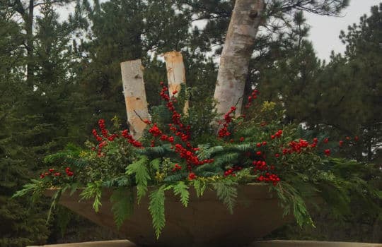 Green up the Season with beautiful Holiday Containers and Décor.