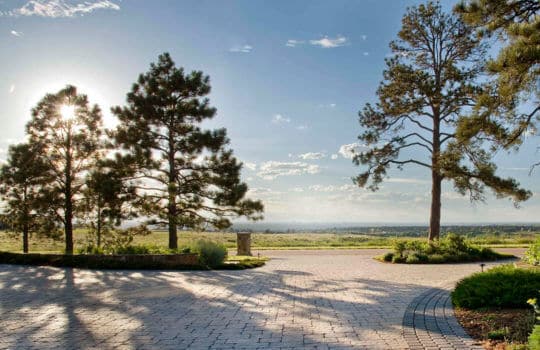 Trees: Caring for your most important Landscape Assets