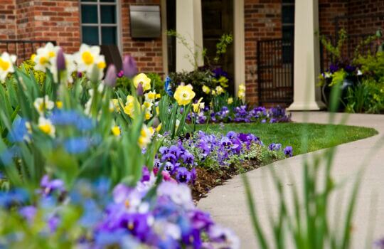 Spring is the season for bright, beautiful blooms!