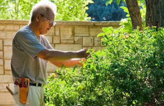 Personalized property care keeps your landscape investment green and growing.