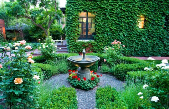 Why Perennials?