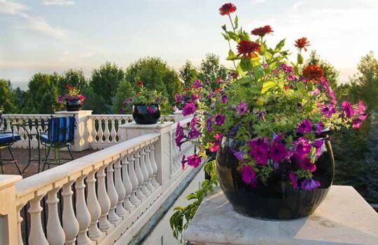 Expert Advice: A 6-Step Guide to Container Plantings