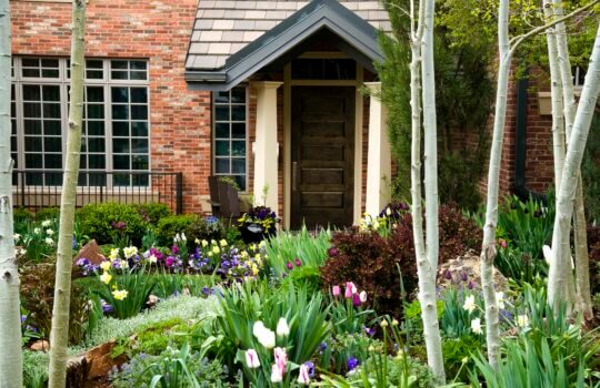 Organic landscape practices yield sustainable and beautiful results.