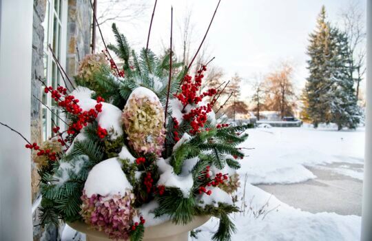 What to do now to prepare landscapes for these winter chills and for spring growth.