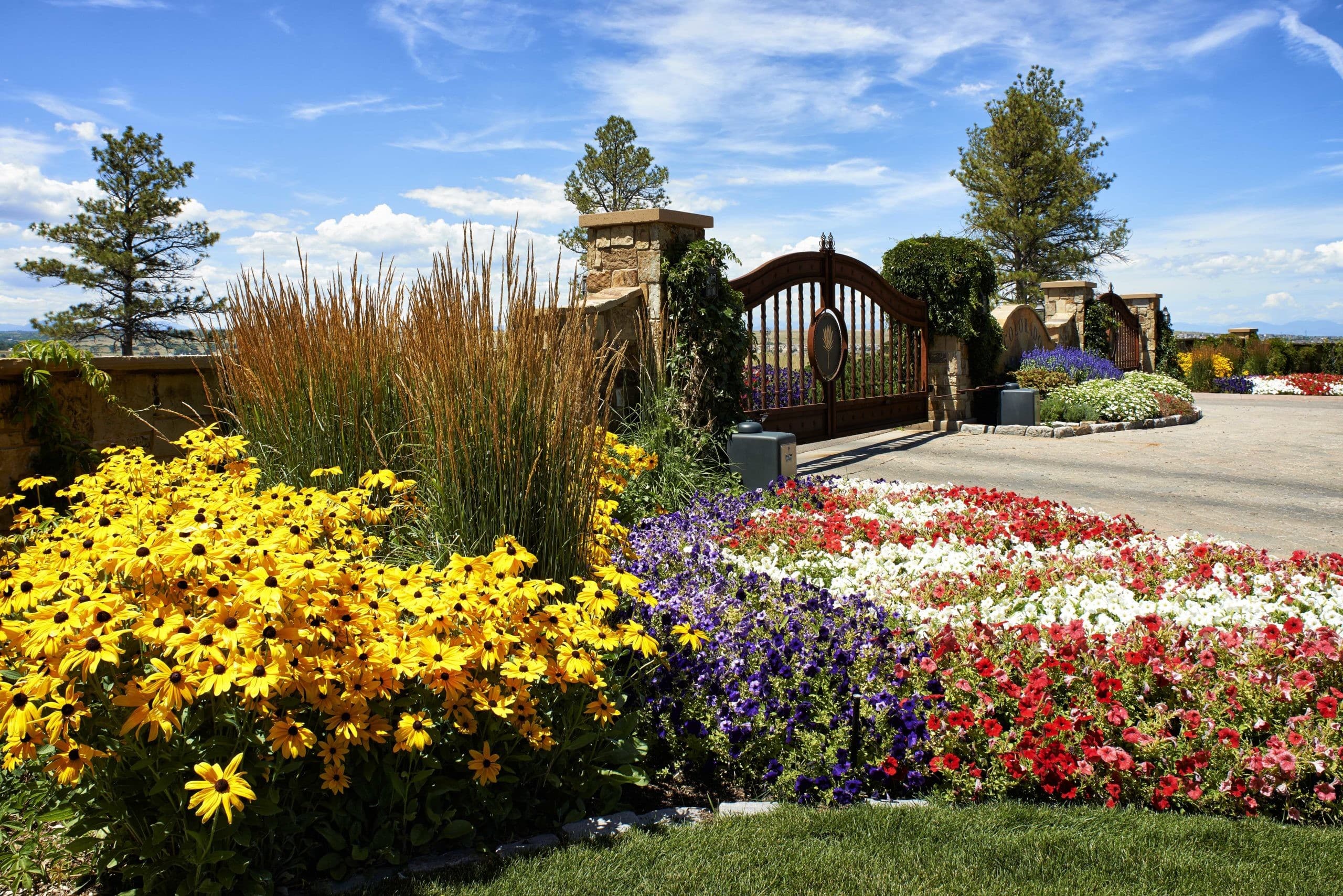 Your Ultimate Guide to Spring Landscape Color