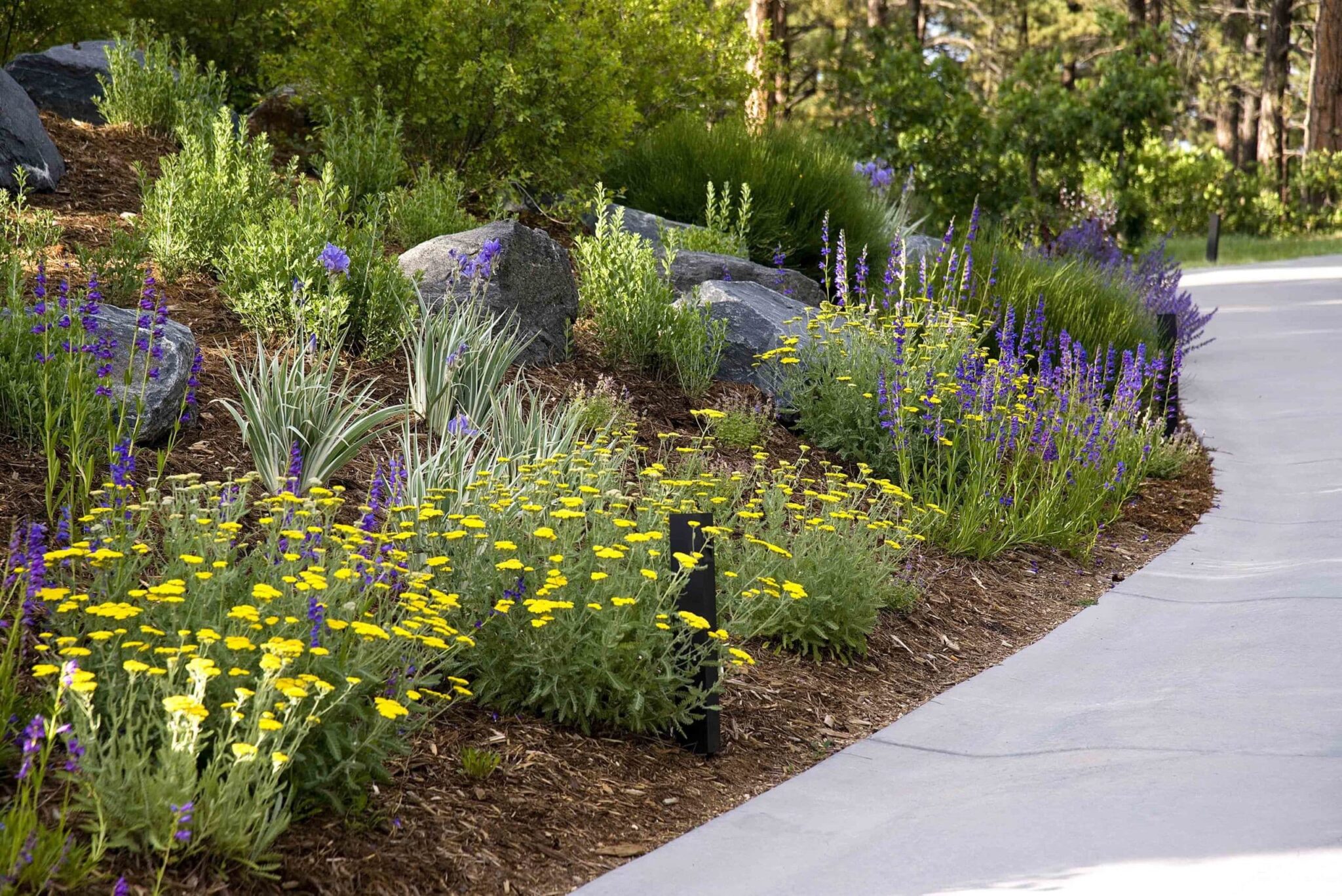 Your Ultimate Guide to Spring Landscape Color