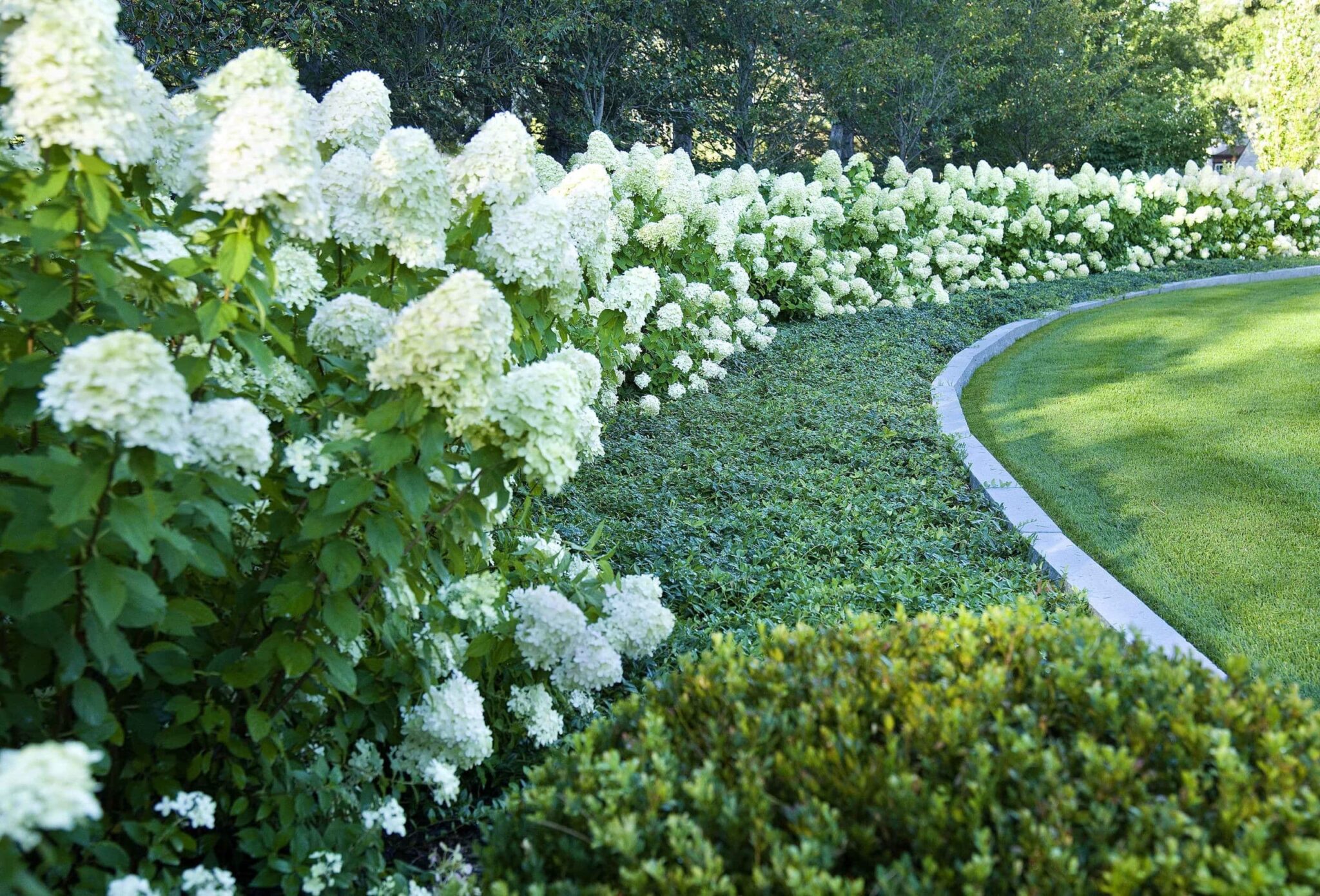 Your Ultimate Guide to Spring Landscape Color