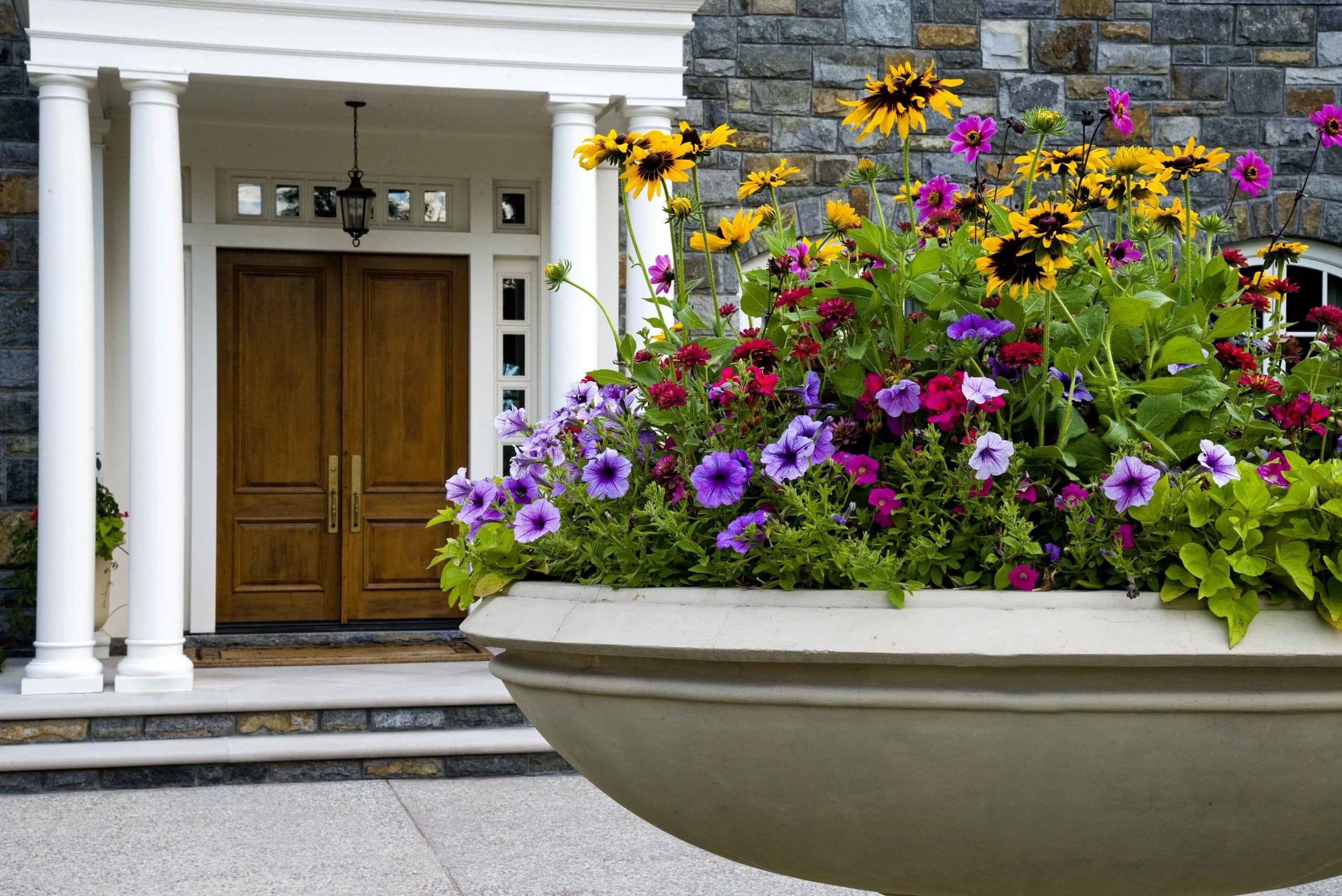 Your Ultimate Guide to Spring Landscape Color