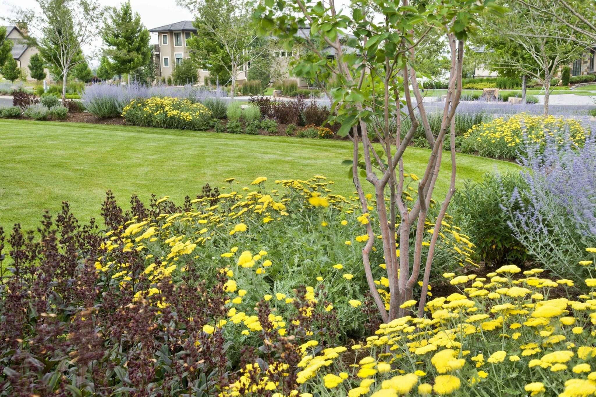 Your Ultimate Guide to Spring Landscape Color