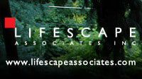 Follow Lifescape Associates on Twitter!