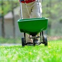 fertilize-lawn-200X200