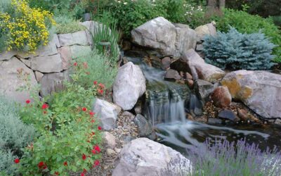 4 Types of Water Features