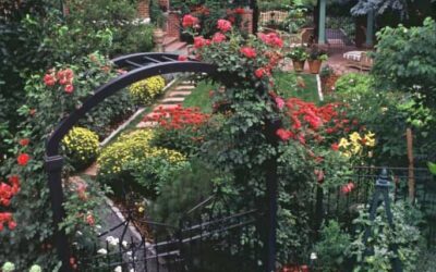 Learn where to Place your Plants