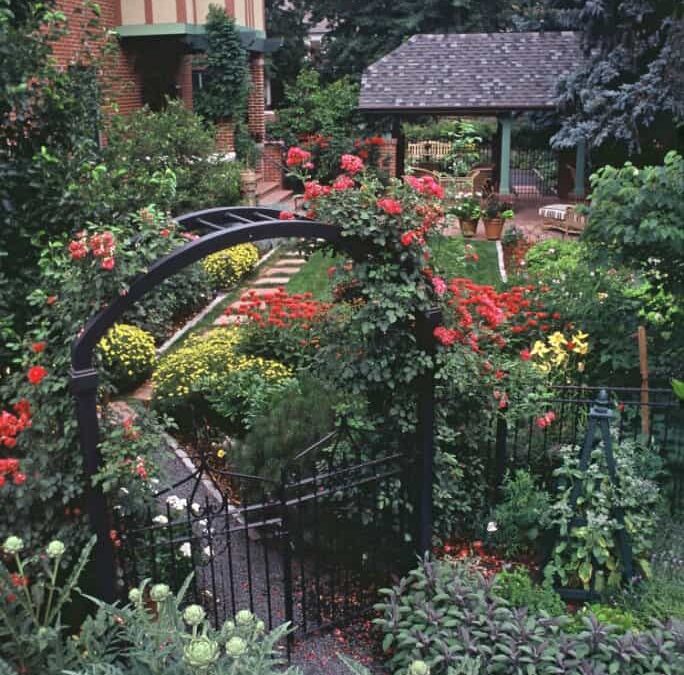 Learn where to Place your Plants