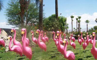Don’t Over Decorate your Lawn