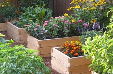 Tips on Building Raised Beds