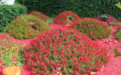 The Garden Festival