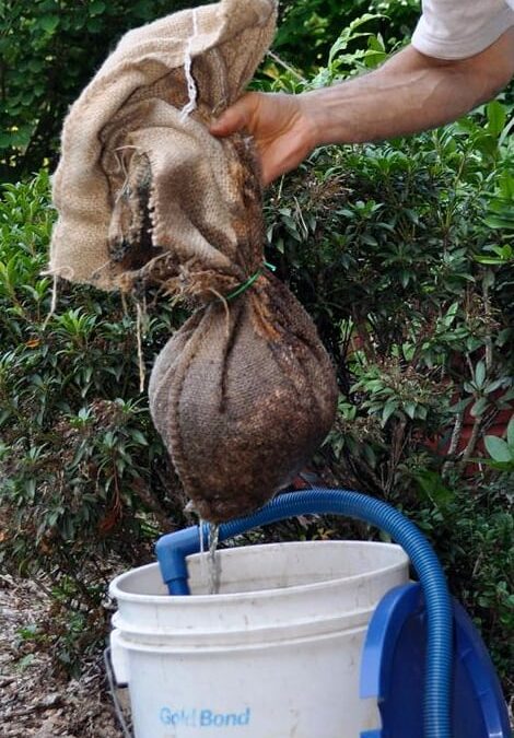 Tea Time in the Garden