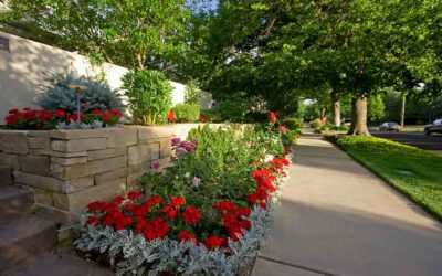 The Function and Beauty of Retaining Walls