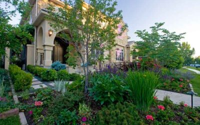The Importance of Mulch