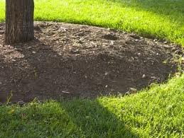 Did you know Mulch is an insulator?