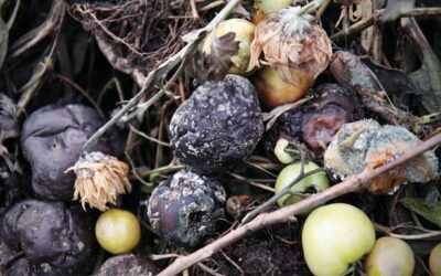 How to prevent making a dangerous compost pile