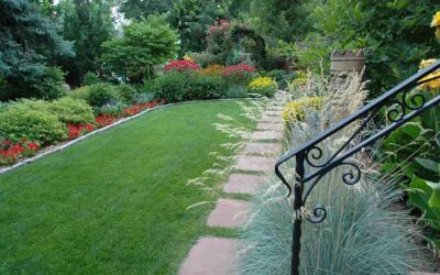 3 Maintenance tips for your Colorado landscape