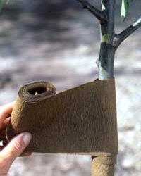 Your November Landscaping Checklist