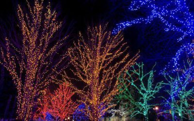 Happy Holidays from Lifescape Associates!