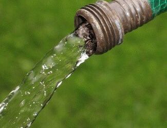 Winter Watering for your Colorado Landscaping