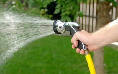 Important Colorado Winter Watering Tips