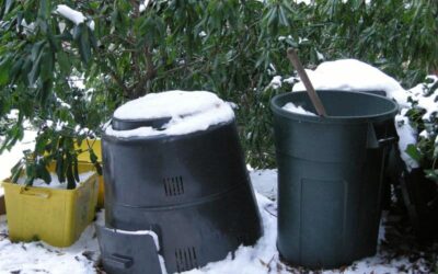 Composting in the Wintertime