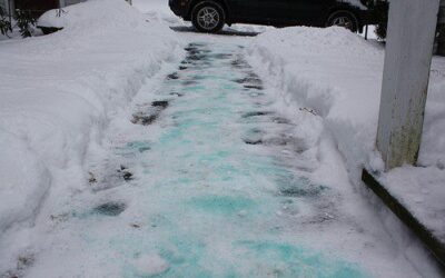 Winter Tip: Minimize Salt Damage to your Plants
