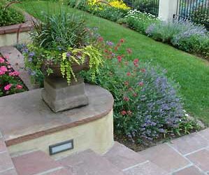 The Benefits of Annual Color