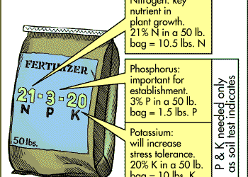 What to Look for when Selecting Fertilizer