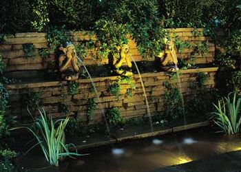 Solar Lighting in the Garden