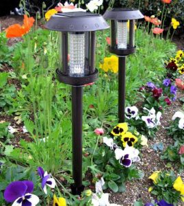 solar-garden-lights