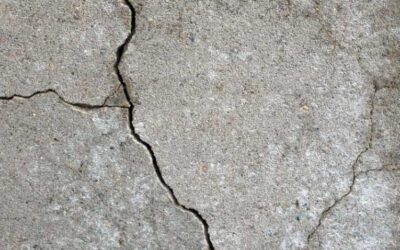 Have you checked on your Hardscapes lately?