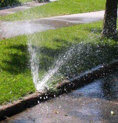 Watch out for Sprinkler System Issues