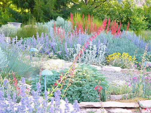 The Importance of Xeriscape