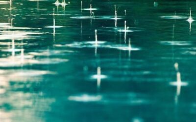 Save Water with Clever Sprinkler Gadgets