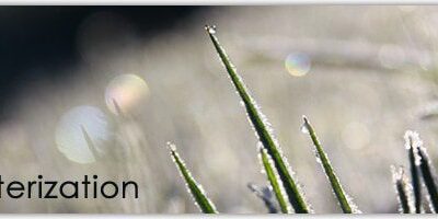 Perfect time to begin Winterizing your Irrigation Systems